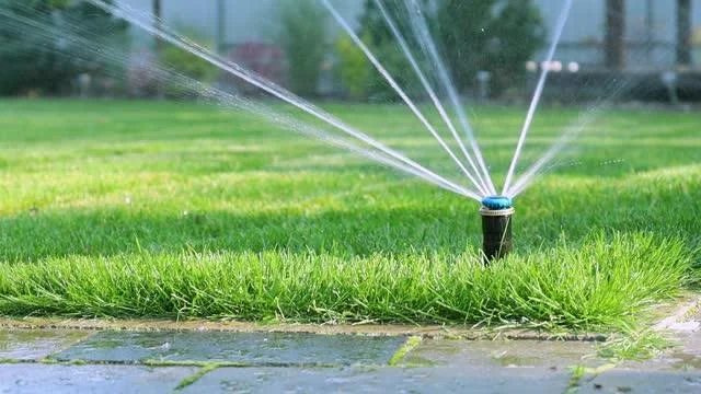 Projeto de irrigação por aspersão para milho